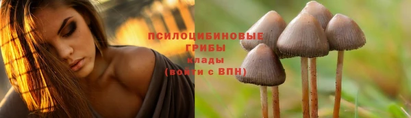 трава Богородицк