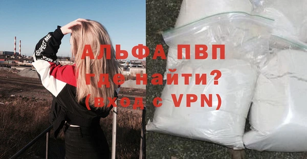 метадон Богданович