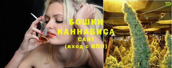 метадон Богданович