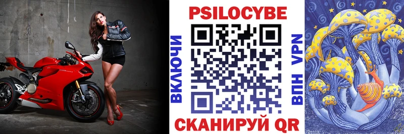 Псилоцибиновые грибы мухоморы  OMG ССЫЛКА  Дно  даркнет сайт 